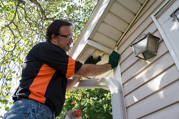 Best Shed Removal  in Eastern Goleta Valley, CA